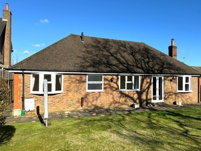 Bungalow to rent in Knoll Road, Dorking, Surrey RH4