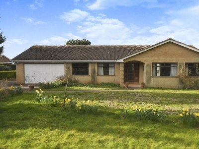 Bungalow to rent in Hall Drive, Lincoln LN4