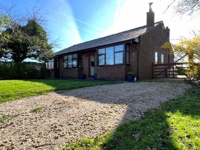 Detached bungalow for sale in Bee Lane, Penwortham, Preston PR1