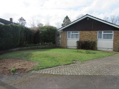 Detached bungalow to rent in Cloisters Lawn, Letchworth SG6