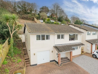Detached house for sale in Harts Close, Teignmouth, Devon TQ14