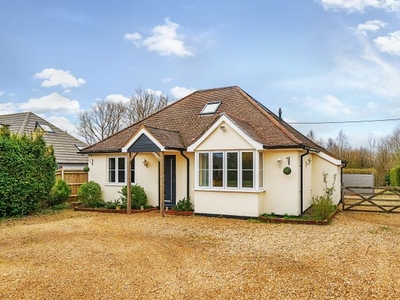 Detached house to rent in Hogs Back, Seale, Farnham, Surrey GU10