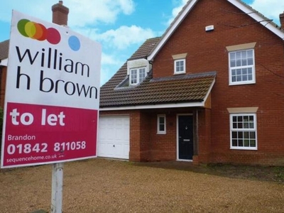 Detached house to rent in Main Road, Weeting, Brandon IP27