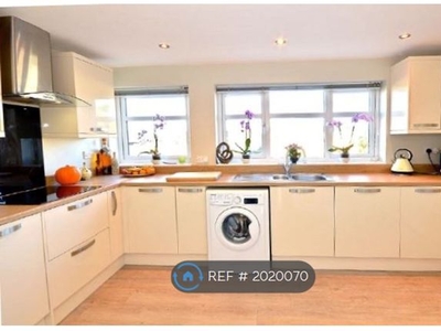 Detached house to rent in Norwich, Norwich NR4