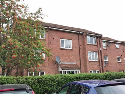 Flat to rent in Baxter Court, Norwich NR3