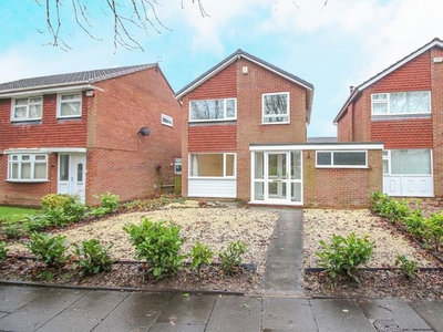 Link-detached house to rent in Ascot Walk, Kingston Park, Newcastle Upon Tyne NE3