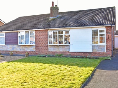 Semi-detached bungalow to rent in Beckwith Road, Harrogate HG2
