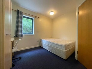 1 bedroom apartment for rent in Hoopern Street, Exeter, Devon, EX4