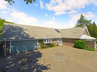 Detached bungalow for sale in Gransden Close, Ewhurst, Cranleigh GU6