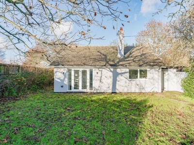 Detached bungalow to rent in The Uplands, Beccles NR34