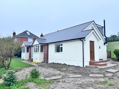 Detached house to rent in Cattistock, Dorchester DT2