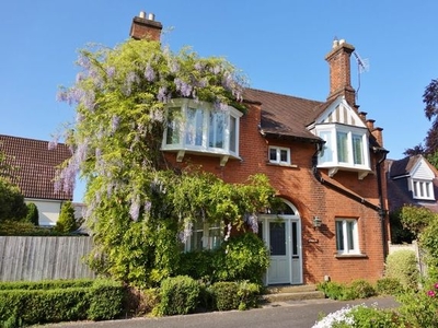 Detached house to rent in Holly Cottage, Argent Place, Newmarket CB8