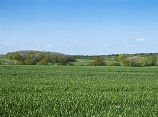 Land for sale in Cooks Farm & Flats Farm, Stanningfield, Bury St. Edmunds, Suffolk IP29