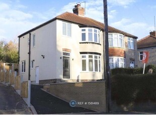 Semi-detached house to rent in Gleadless Road, Sheffield S2