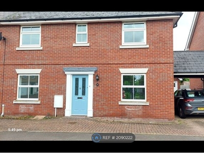 Semi-detached house to rent in Steed Crescent, Colchester CO2