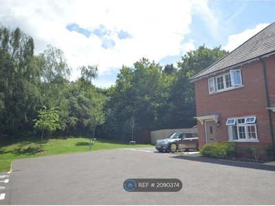 Semi-detached house to rent in Woodland Drive, Sowton, Exeter EX2