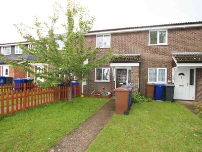 Terraced house to rent in Marigold Drive, Red Lodge IP28
