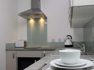 1 bedroom apartment for rent in Emmanuel House, Studio 7, 179 North Road West, Plymouth, PL1