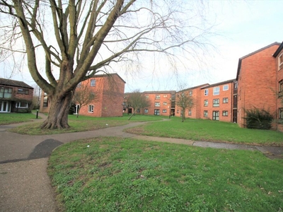 3 bedroom apartment for rent in Pippin Green, Norwich, Norfolk, NR4