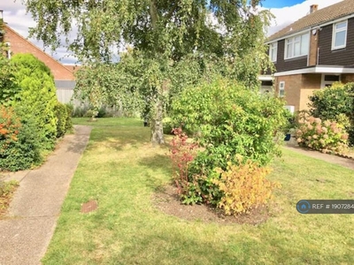3 bedroom terraced house for rent in Birch Close, Cambridge, CB4