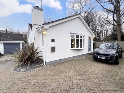 Detached bungalow for sale in Grebe Close, Creekmoor, Poole BH17