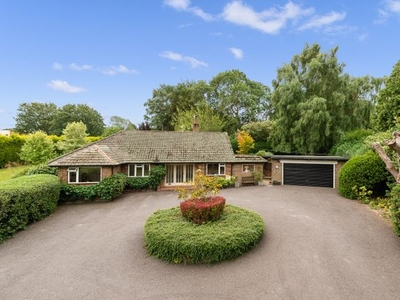 Detached bungalow for sale in Sandhurst Lane, Bexhill-On-Sea TN39