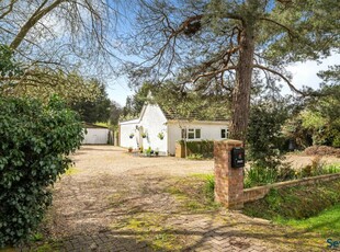 3 bedroom bungalow for sale in Normandy, Guildford, Surrey, GU3