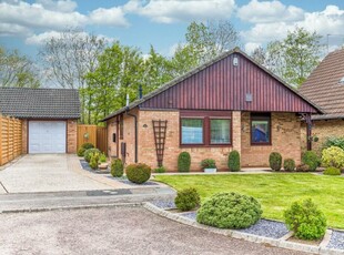 3 bedroom detached bungalow for sale in Claystones, West Hunsbury, Northampton, NN4