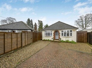 3 bedroom detached bungalow for sale in The Crescent, Bricket Wood, St. Albans, AL2