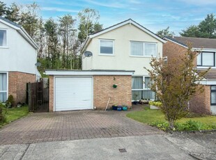 3 bedroom detached house for sale in Pine Tree Close, Radyr, CF15