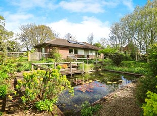 Bungalow for sale in Wellingham Lane, Ringmer, Lewes, East Sussex BN8