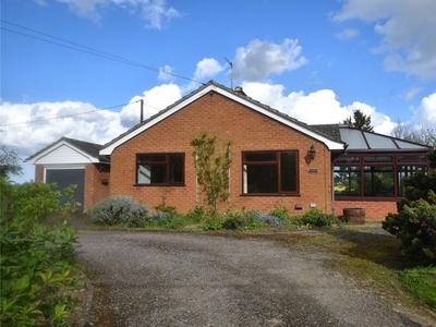 Bungalow to rent in Netherley Lane, Berrow, Malvern, Worcestershire WR13