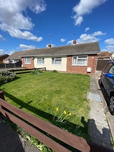 Bungalow to rent in Wembley Avenue, Mayland CM3