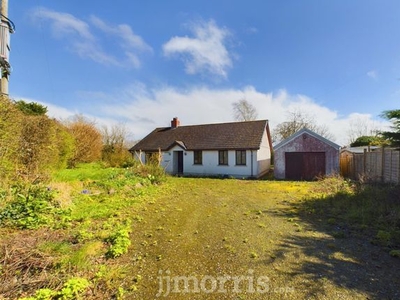 Detached bungalow for sale in Llechryd, Cardigan SA43