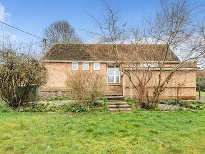 Detached bungalow to rent in Church Hill, East Ilsley RG20