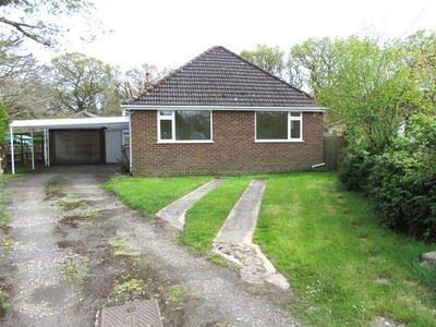 Detached bungalow to rent in Fir Avenue, New Milton BH25