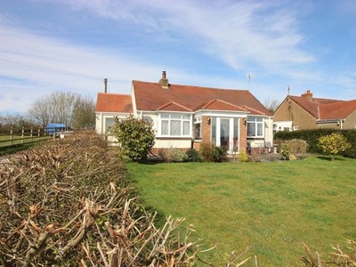 Detached bungalow to rent in Lydney Road, Bream, Lydney GL15
