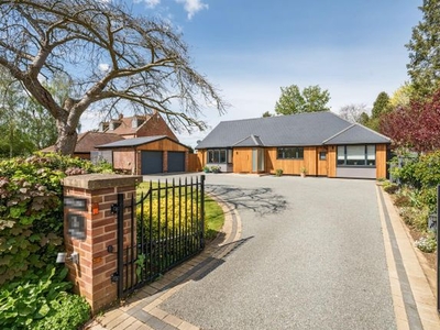 Detached bungalow to rent in Main Road, Biddenham, Bedford MK40