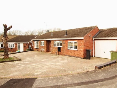 Detached bungalow to rent in Wheatland Close, Oadby, Leicester LE2
