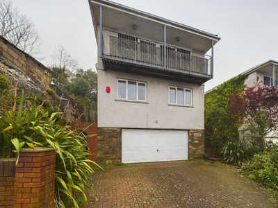 Detached house to rent in Elm Road, Mannamead, Plymouth PL4