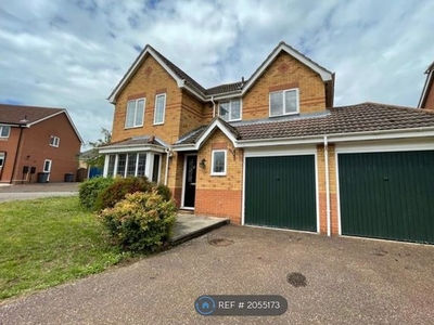 Detached house to rent in Kentwell Close, Rushmere St. Andrew, Ipswich IP4