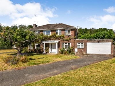 Detached house to rent in Paddock Fields, Old Basing, Basingstoke, Hampshire RG24