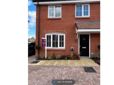 Semi-detached house to rent in Pettits Drive, Bury St. Edmunds IP32