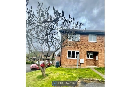 Semi-detached house to rent in Thumwood, Chineham, Basingstoke RG24 8Te,