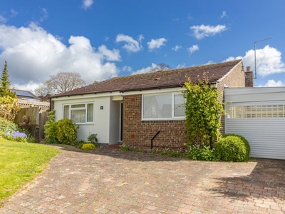 Detached bungalow to rent in Sun Hill Crescent, Alresford, Hampshire SO24