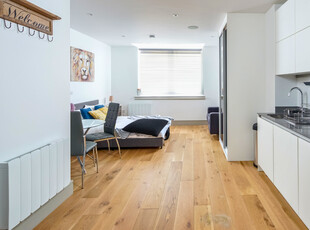 Studio flat for rent in Lawrence Road, London, N15