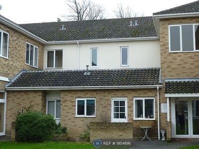 Flat to rent in Keswick Hall, Norwich NR4