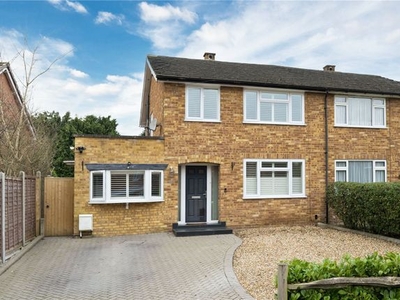 Semi-detached house to rent in Park Drive, Ascot SL5