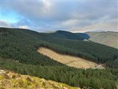 1189.44 acres, Ffynnon Badarn Forest, Aberllefenni, Corris, Gwynedd, North Wales