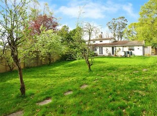 3 Bedroom Bungalow For Sale In Henfield, West Sussex